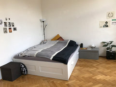 <b>Guest access</b><br />You can use all rooms of the flat as you would do at ho Vienna, Austria Cozy and charming room in beautiful Vienna Private room in rental unit vacation rental 31715255