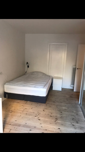 Bright, clean and comfortable big room. You will share the kitchen and bathroom  Copenhagen, Denmark Big very clean room Private room in rental unit vacation rental 50439808