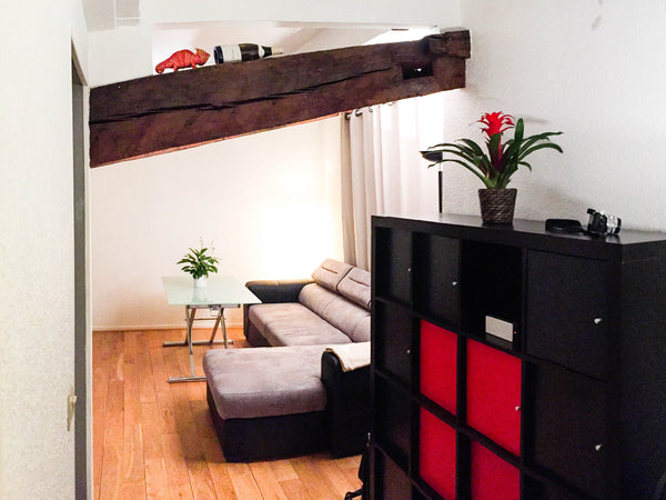 Perfectly located, you will just 5min walk to join Opera and Galeries Lafayette. Paris, France Charming flat near Opera Entire rental unit vacation rental 12732929