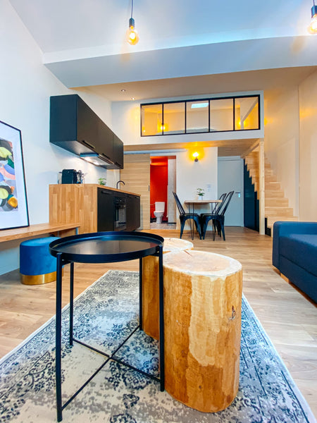 Ce logement parfaitement situé offre un accès facile à tous les sites et commodi Lyon, France Le Sophistiqué - très bel appartement pour 4 pers Entire rental unit vacation rental 710625949674074754