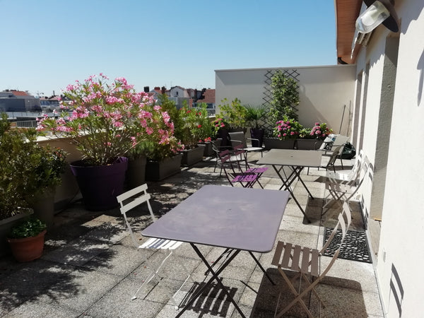 Joli T5 confortable au 7e étage avec ascenseur, terrasse de 70 m², à  5 mn du Ce Lyon, France Appartement 135 m², terrasse, 4 chbs, centre Lyon Entire condo vacation rental 21953059