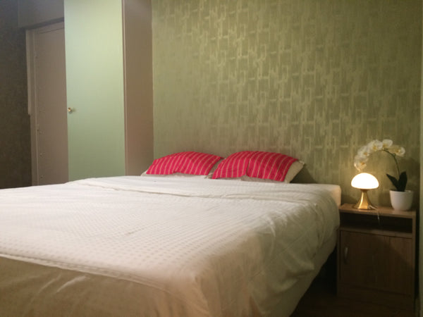 This cosy studio is situated at 6 minutes walking distance from the most iconic  Paris, France Cosy studio close to Champs Élysée in 16eme Entire rental unit vacation rental 21488931