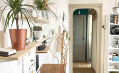 Appartement situé au chartrons. À deux minutes du tram Paul Doumer. Proche commo Bordeaux, France Charmant T2 de 40m2 - centre ville - Paul Doumer Entire rental unit vacation rental 17824312