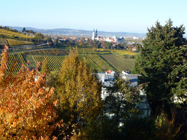 Meine Unterkunft ist in Klosterneuburg; hier gibt es kulturelle und sportliche A Vienna, Austria Appartement in Klosterneuburg nahe bei Wien Entire home vacation rental 16296171