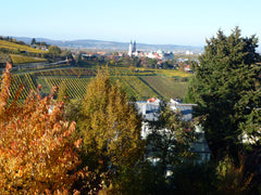 Meine Unterkunft ist in Klosterneuburg; hier gibt es kulturelle und sportliche A Vienna, Austria Appartement in Klosterneuburg nahe bei Wien Entire home vacation rental 16296171