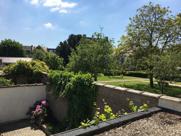 You are very welcome at my cosy little house in the backyard. It's completely pr  Cosy little house near city center Entire guesthouse vacation rental 31527090