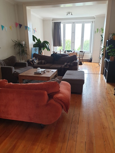 Ghent, Belgium High ceilinged & spacious apartment central Ghent Private room in home vacation rental 45707008