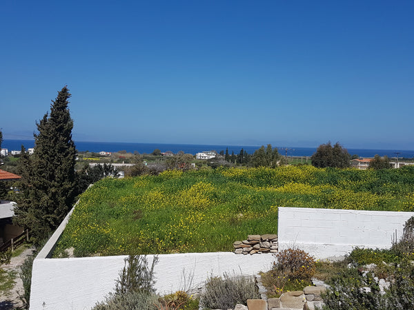If you like a quiet place where you can relax, enjoy the sun and make some sport Greece Kalliroi Sea View House Entire serviced apartment vacation rental 18904457