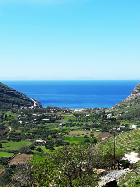 Κυκλαδίτικα διαμερίσματα  με ένα υπνοδωμάτιο,παραδοσιακά χτισμένο με θέα στην πα Pisses, Greece Rental furnished apartments 