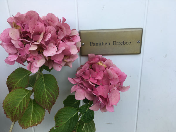Nice house in one of Valbys quiet neighborhoods. Two minutes walk to the S-train Copenhagen, Denmark Perfect location for a visit in Copenhagen Entire townhouse vacation rental 20303110