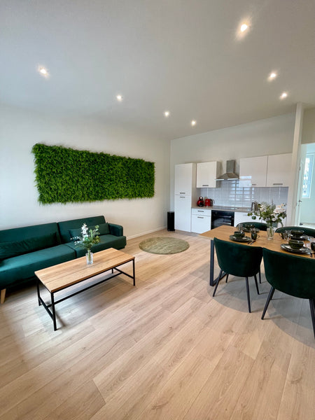 Welkom bij de Sint - Jacobs loft, dit is de plek om de stad Antwerpen echt te on Antwerp, Belgium Schitterend Sint - Jacobs loft in Antwerpen Entire loft vacation rental 598927563694735357