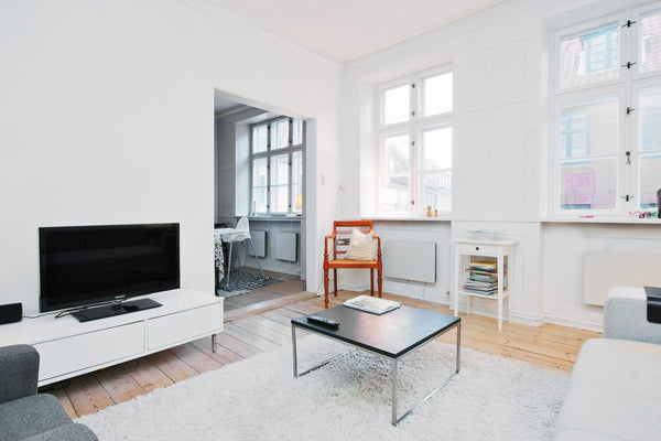 Our apartment is located in one of the most charming and oldest streets in downt Copenhagen, Denmark Big flat in central Copenhagen Entire rental unit vacation rental 1803362