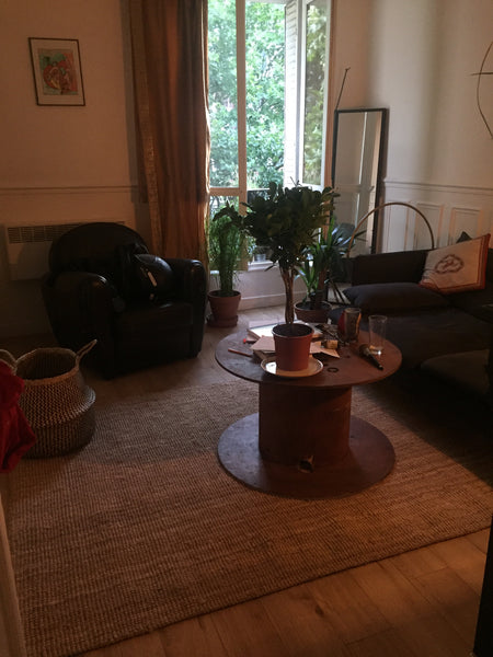 Appartement deux pièces pouvant accueillir 3 personnes ( un lit double et un lar Paris, France Appartement 20ème Entire rental unit vacation rental 20080166