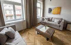 150 meters away from Letna Park. Long stay from 1 to 12 month rate available. A   Lovely apartment 1 bedroom + 1 living room Entire serviced apartment vacation rental 53667155