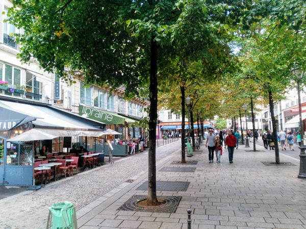Under Paris roofs, in the very heart of the capital, the apartment has a large l Paris, France Lovely 3-room flat in the very heart of Paris Entire rental unit vacation rental 20358585
