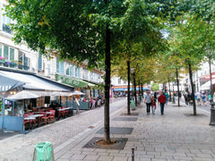 Under Paris roofs, in the very heart of the capital, the apartment has a large l Paris, France Lovely 3-room flat in the very heart of Paris Entire rental unit vacation rental 20358585