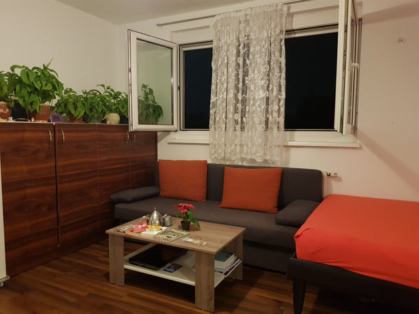 Ruhige Wohnung mit eigenem Bad (Nähe Wien Westbahnhof) Single Appartement in Vie Vienna, Austria Ruhige, kleine Wohnung (Nähe Wien Westbahnhof) Entire rental unit vacation rental 28154689