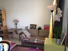 This is a charming, quiet and newly painted one bedroom apartment in the highly  Paris, France Quiet and sunny one bedroom with treehouse Entire rental unit vacation rental 19870714