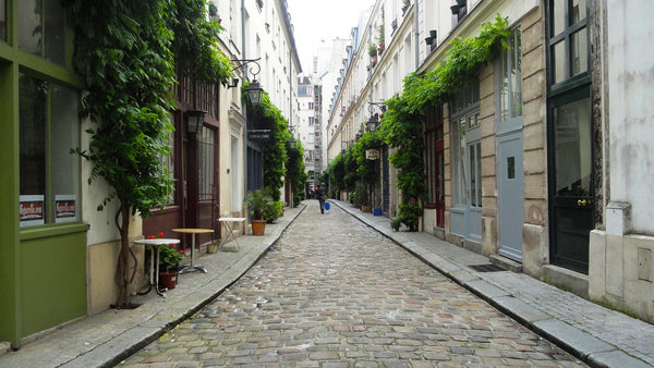 Studio in the heart of Paris, in a private passageway opening up to the Place de Paris, France Place de la Bastille. Entire rental unit vacation rental 2488829
