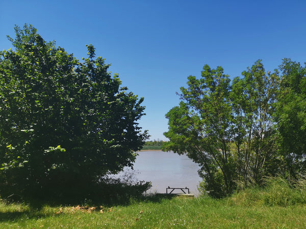 临河边的充满日光的小公寓，这里交通便利，风景秀丽，我们精心装饰了这套临河的公寓，希望您在波尔多度过美妙的假日，Peng和Hubert欢迎您<br /><br / Bordeaux, France HOLIDAY&RIVER BANK appartement avec jardin Entire rental unit vacation rental 31467629