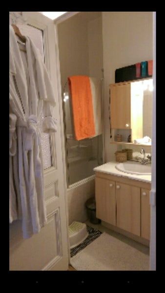 Appartement Calme et agréable est situé au cœur du 6 éme  à deux minutes à pied  Lyon, France Sha Loggie Entire rental unit vacation rental 12599023