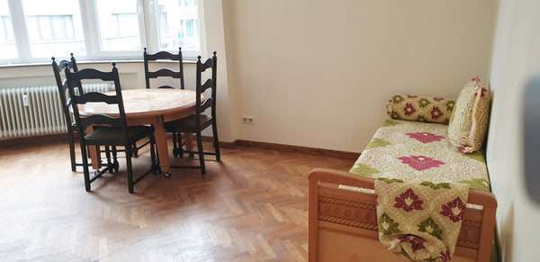 The apartment is located in the heart of Brussels, so public transport is very e  Beautiful apartment in the EU area Entire rental unit vacation rental 35262141