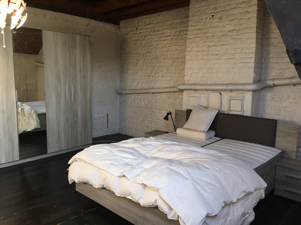 Our typical Brussels townhouse 