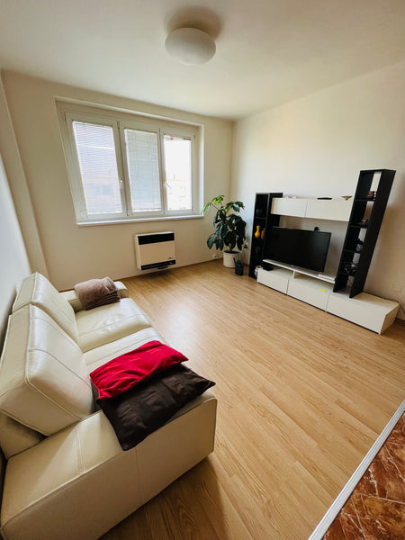 Malý byt s jednou ložnicí, obývacím pokojem s vybavenou kuchyní (lednice, mikrov  Malý samostatný byt u metra na Praze 4 Entire condo vacation rental 622942943459037262