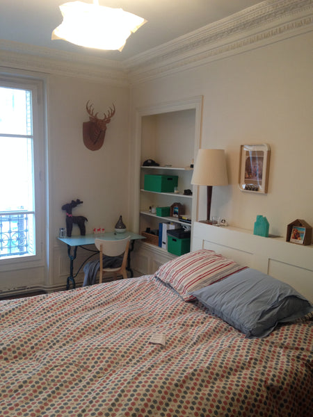 Hello travellers,<br /><br />We are sharing a bedroom in our ro Montreuil-aux-Lions, France apartment in a cozy roommate Private room in rental unit vacation rental 9656680