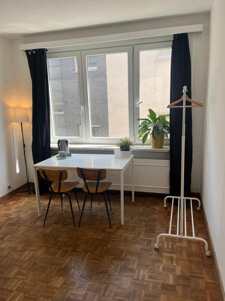 Looking for young people to sleep over in our shared apartment in the centre of  Ghent, Belgium Lovely 1-bedroom room in the centre of Ghent Private room in rental unit vacation rental 674425670977536894