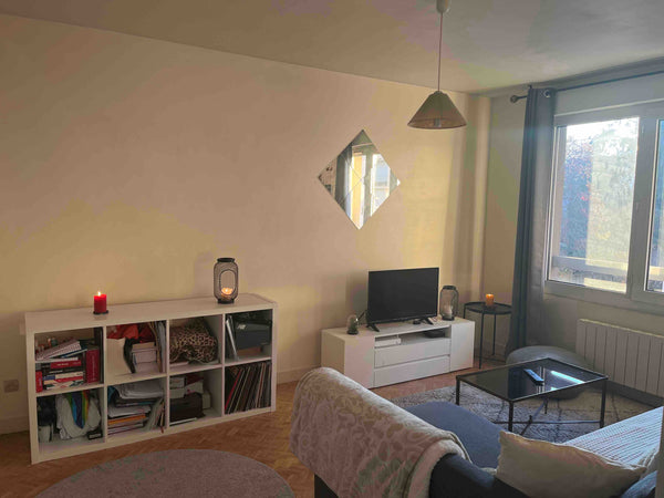 Charmant appartement pouvant accueillir 4 personnes (idéal pour les familles) av Lyon, France Charmant appartement - Lyon 3 Entire rental unit vacation rental 774543718207914119