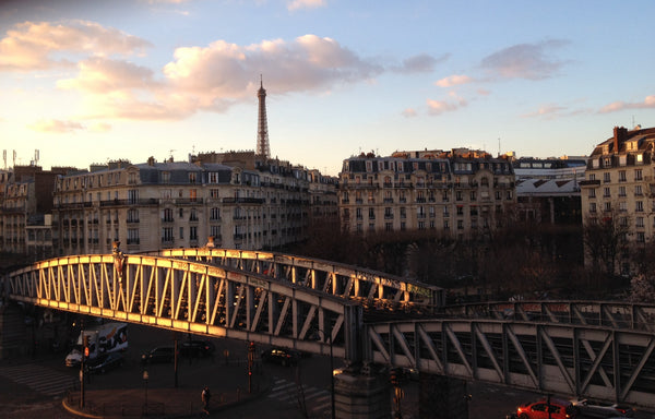Quiet and bright room and living-room with view on Cambronne Place and Eiffel To Paris, France Chambre, vue sur la Tour Eiffel Private room in rental unit vacation rental 5446776