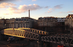 Quiet and bright room and living-room with view on Cambronne Place and Eiffel To Paris, France Chambre, vue sur la Tour Eiffel Private room in rental unit vacation rental 5446776