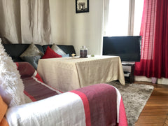 The apartment (30m2 - 1 bedroom and 1 living room) can accommodate 2 adults+1 to Paris, France Very nice apartment near St Lazare & Opera Entire rental unit vacation rental 20159456