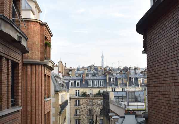Vue dégagée sur les toits de Paris et le dernier étage de la Tour Eiffel, très l Paris, France Vue dégagée sur les toits de Paris et Tour Eiffel Entire rental unit vacation rental 20127512