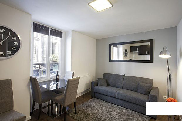 Joli appartement meublé avec goût. Vous disposez de tout le nécessaire pour pass Paris, France Appartement 2 pièces Marais Entire rental unit vacation rental 7344511