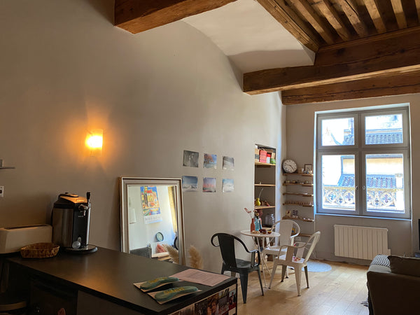 Appartement avec un immense séjour et une très belle hauteur sous plafond. <br / Lyon, France Appartement (grand T2) Hypercentre Lyon Entire rental unit vacation rental 30228353