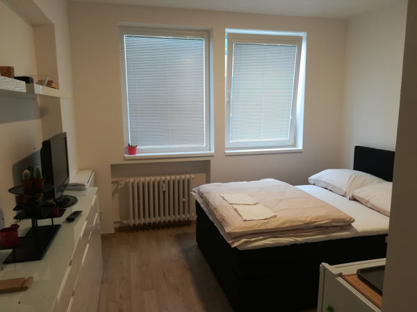 Newly renovated accommodation unit is located in the former Hotel Albion in the  Hlavní město Praha, Czechia Cactusflat Entire rental unit vacation rental 39055683