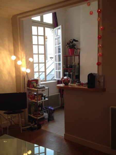 Studio mignon et agréable à vivre. 19m2 au 5ème étage (donnant sur les toits). T Paris, France beau studio calme et lumineux Entire rental unit vacation rental 7161589