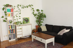 Hi! <br /><br />Ich vermiete meine schöne Wohnung in einer sehr beliebten und ze Vienna, Austria Central Apartment close to Rathaus Entire rental unit vacation rental 26514464