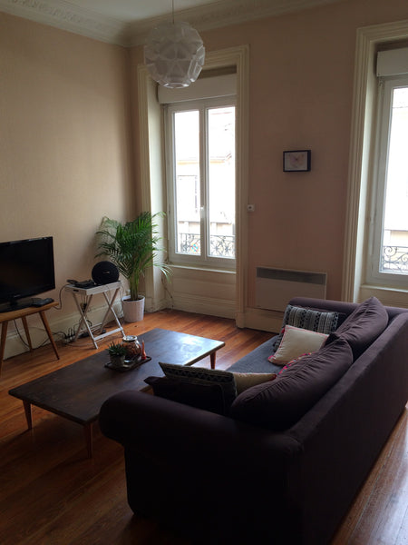 Venez profiter de la ville de Lyon en logeant dans un appartement spacieux et il Lyon, France Appartement agréable à Lyon 3 Entire rental unit vacation rental 12504759