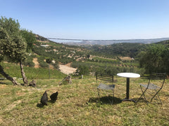 The ideal choice for travelers who appreciate the austerity and the contact with  Caravan with mountain and sea view Camper/RV vacation rental 18754073