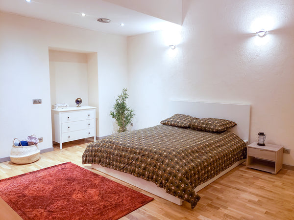 Appartement entier de 57 mètres carrés, en plein centre-ville, très calme et san  Appartement T2 Lyon 1er Entire rental unit vacation rental 769710483037324105