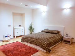 Appartement entier de 57 mètres carrés, en plein centre-ville, très calme et san  Appartement T2 Lyon 1er Entire rental unit vacation rental 769710483037324105