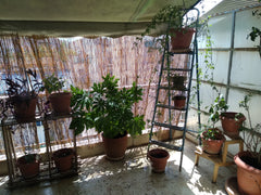 Hello, Iam Eleni, iam librarian and i would like to host you, if you  adore book Athens, Greece Happy room in the center of Athens Entire rental unit vacation rental 38474859