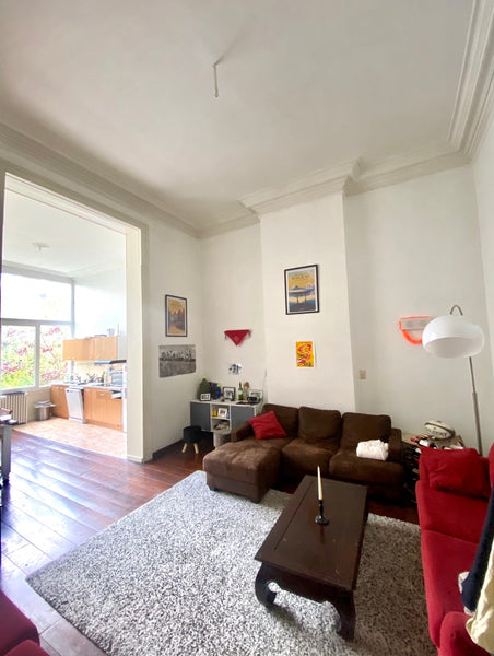Spacious flat of 85 square meter, ideal for a couple, located on Avenue Louise,  Brussels, Belgium Flat - Avenue Louise Entire rental unit vacation rental 637473550859527488