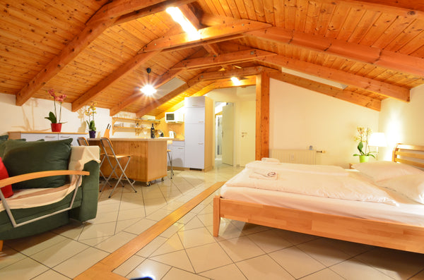 The AJO Studio is located in one of the quiet areas of Vienna, directly next to  Vienna, Austria Tercasse Apartment with lake view GA3 Entire rental unit vacation rental 21087209