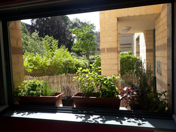 Nice and light apartment with private gardens in a quiet green condo. Serves 4 g Brussels, Belgium beautiful light ground floor apartment with garden Entire condo vacation rental 26054110