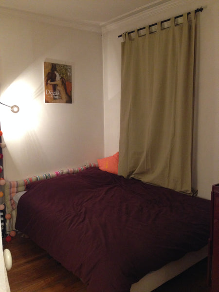 Perfect apartment near Champs Elysees / Arc de Triomphe to visit Paris. Beautifu Caluire-et-Cuire, France COZY AND BRIGHT 2BR FLAT Entire rental unit vacation rental 2405498