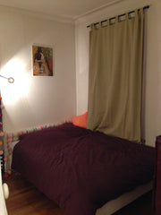 Perfect apartment near Champs Elysees / Arc de Triomphe to visit Paris. Beautifu Caluire-et-Cuire, France COZY AND BRIGHT 2BR FLAT Entire rental unit vacation rental 2405498